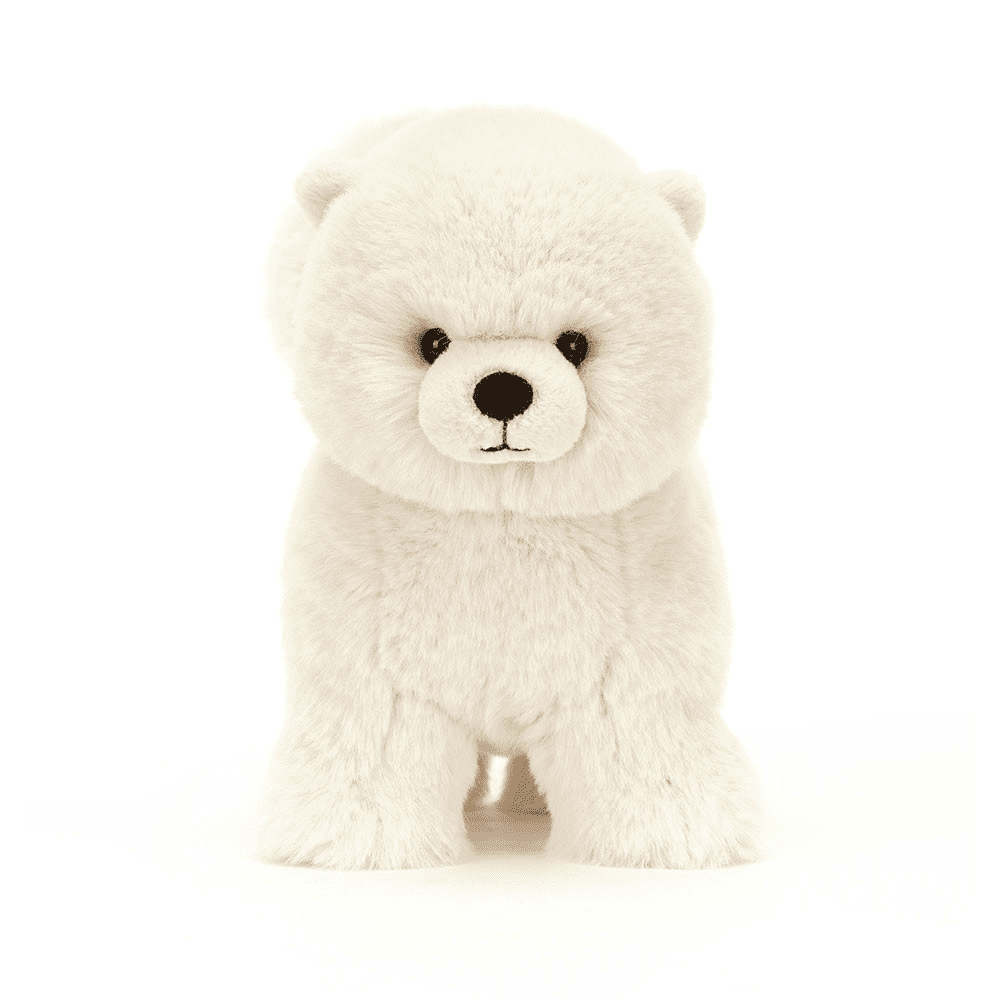 peluche chien sur fond blanc