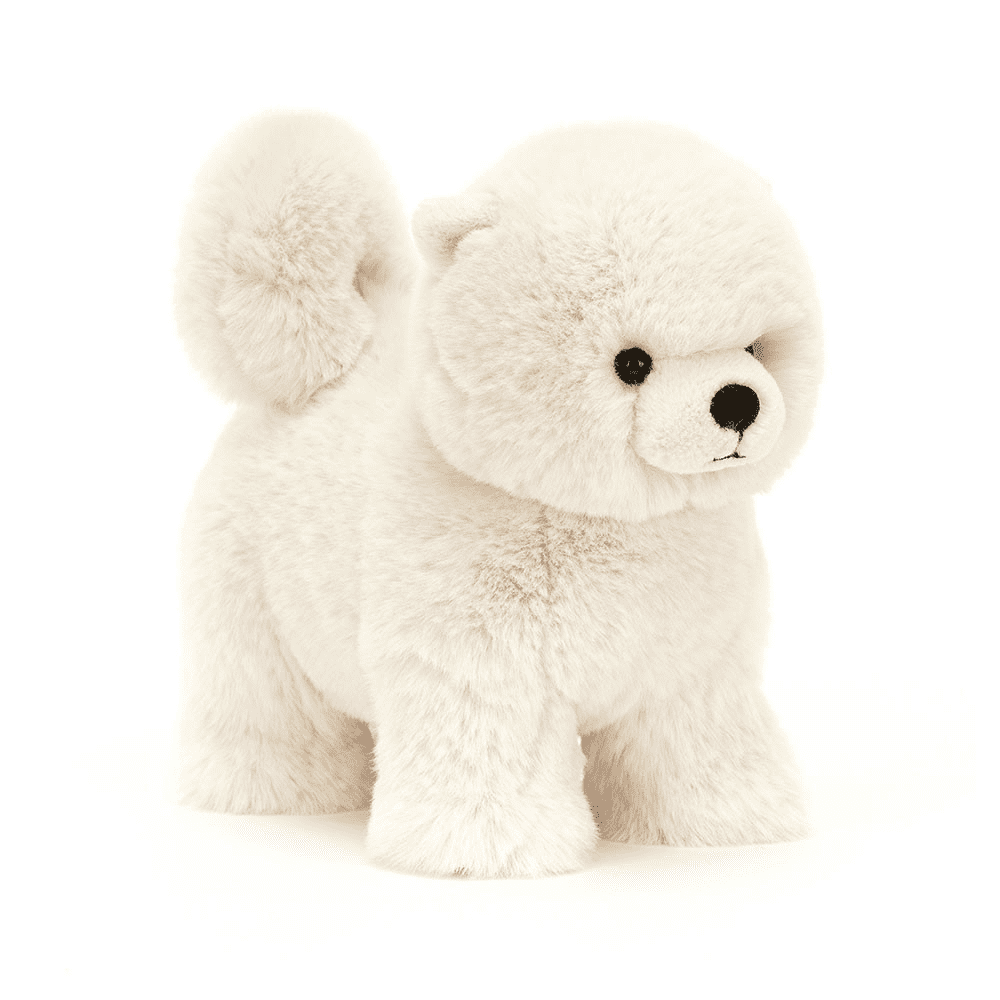 peluche chien sur fond blanc