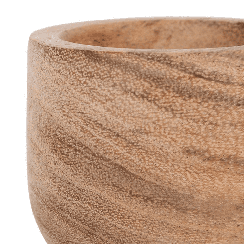 Coquetier Dalbert naturel sur fond blanc