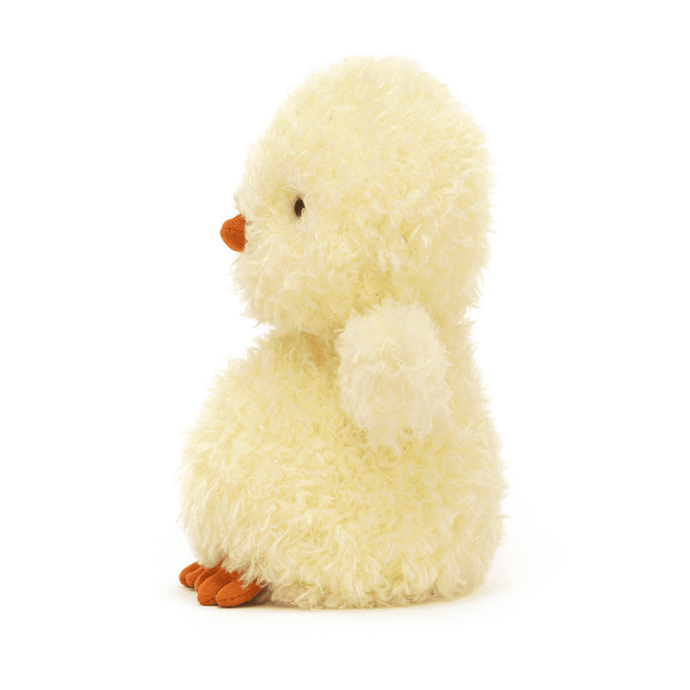 little chick de coté sur fond blanc