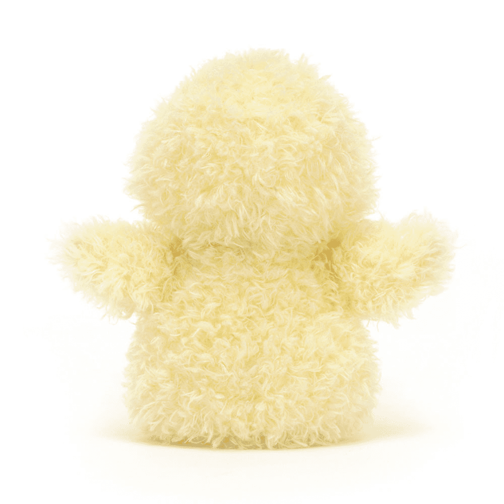 little chick de dos sur fond blanc