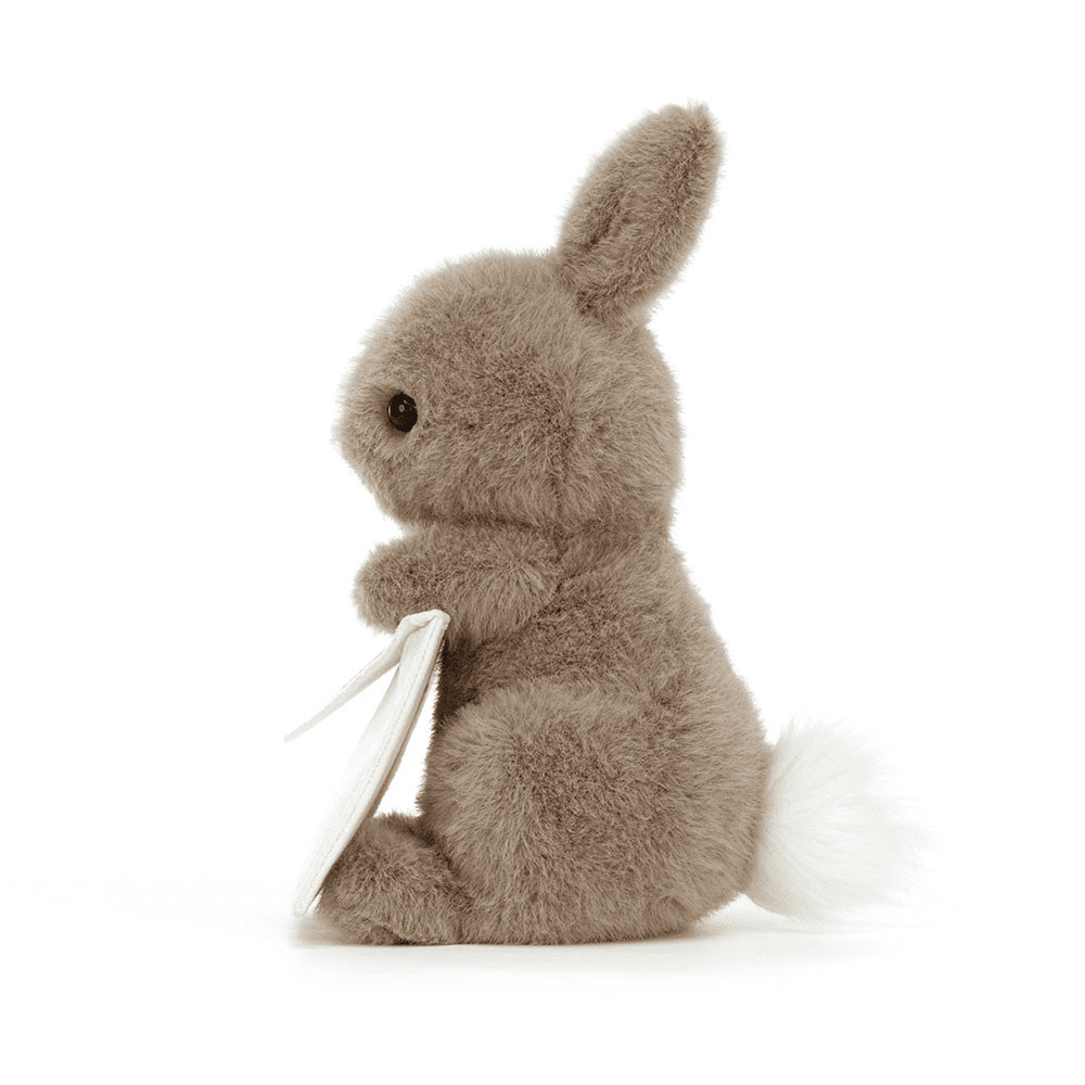 peluche lapin messager sur fond blanc 